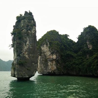 森林对决游戏